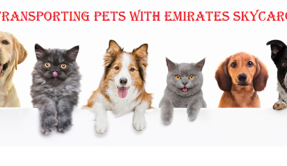 emirates airlines dog travel
