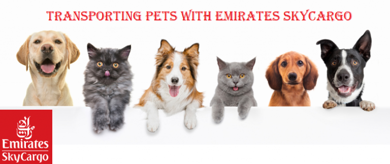 pet travel emirates airlines