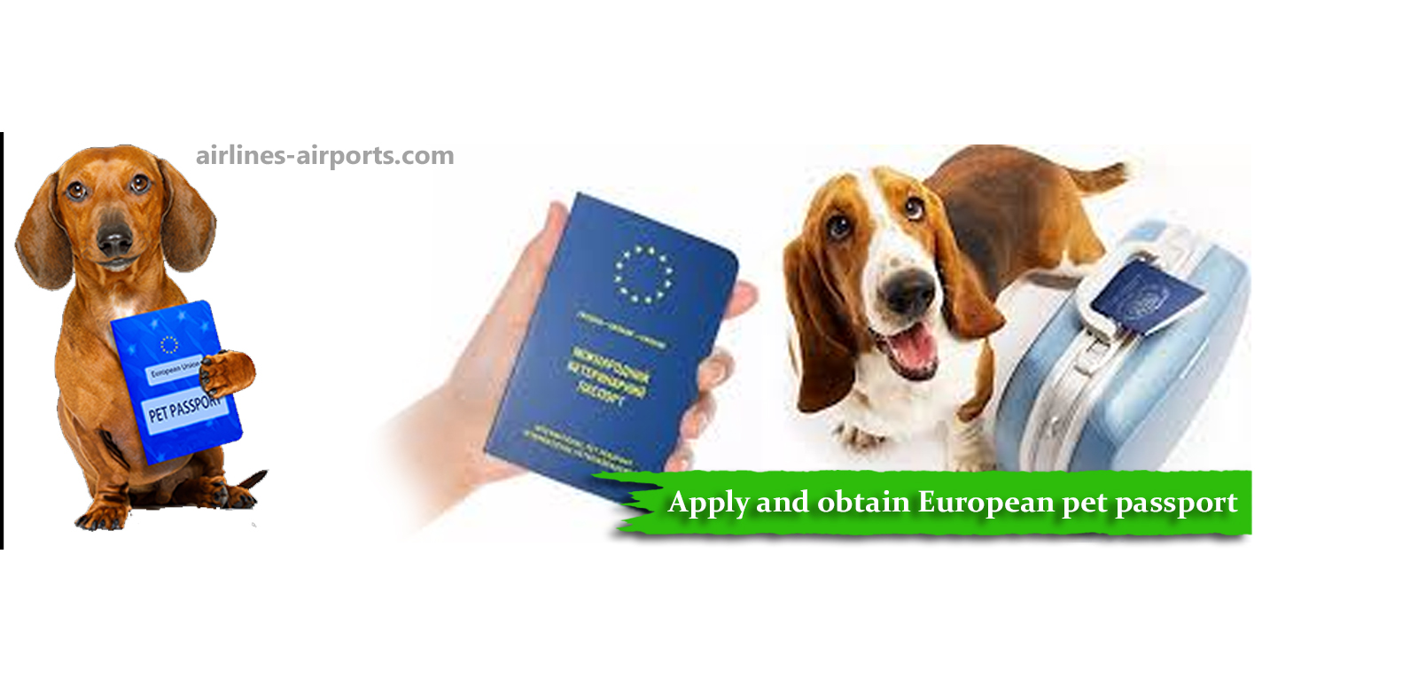 do i need a pet passport to take my dog to france